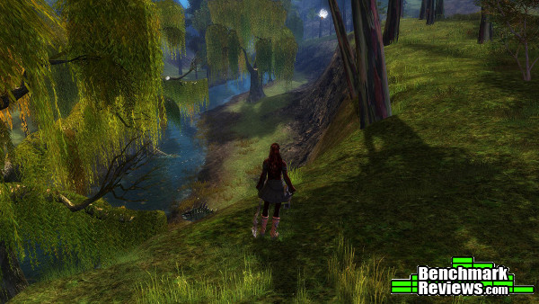 guildwars2_digital_deluxe_forest.jpg