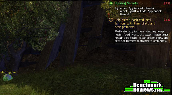 guildwars2_digital_deluxe_heart.jpg