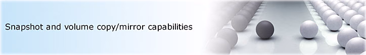 Infortrend EonNAS 1100 NAS Server Data Mirror