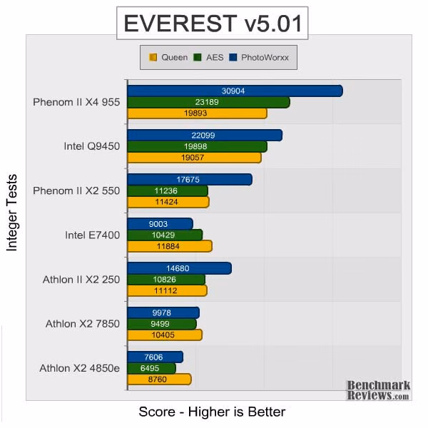 Phenom II x2 550 Everest Integer